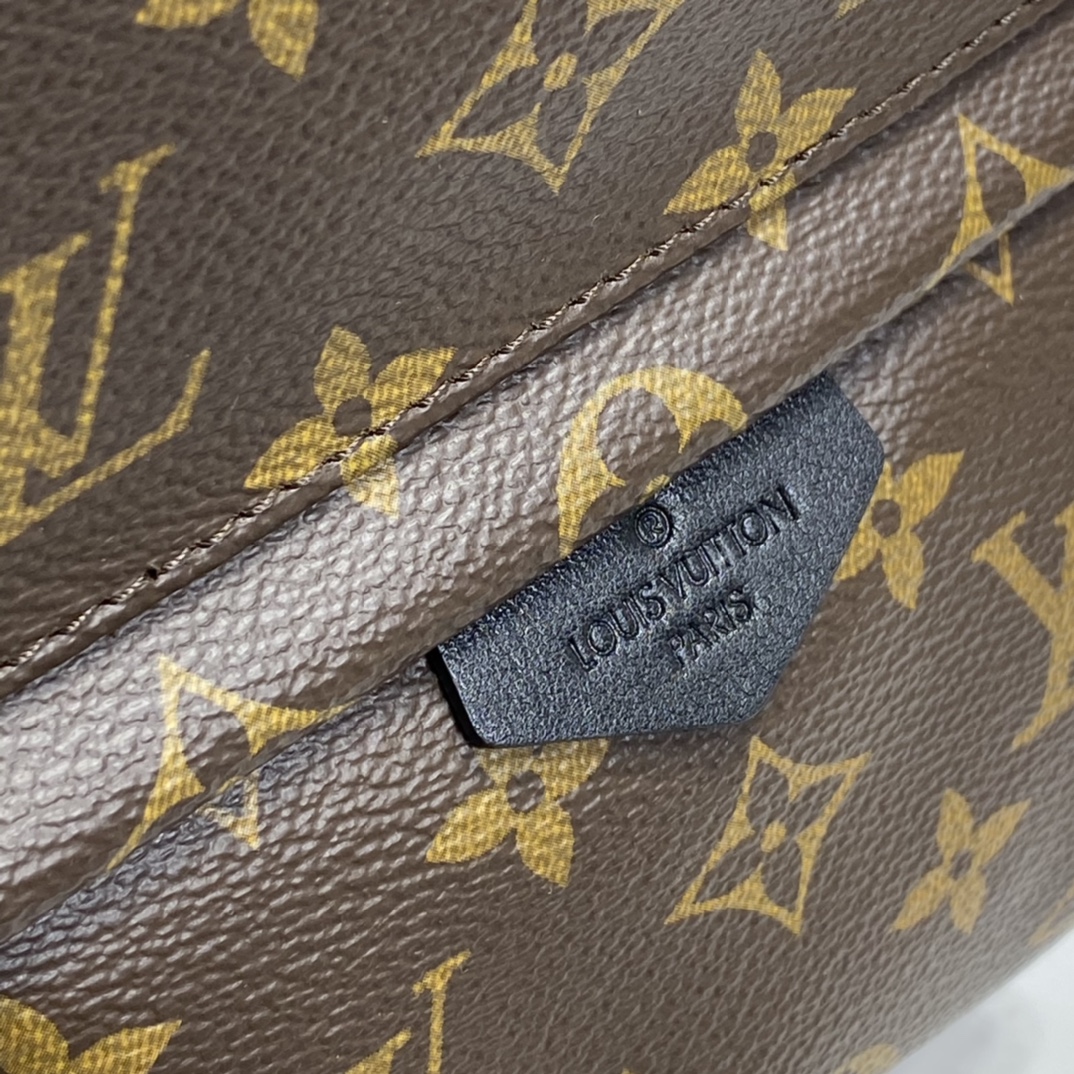 Louis Vuitton PALM SPRINGS MINI Backpack Monogram M44873